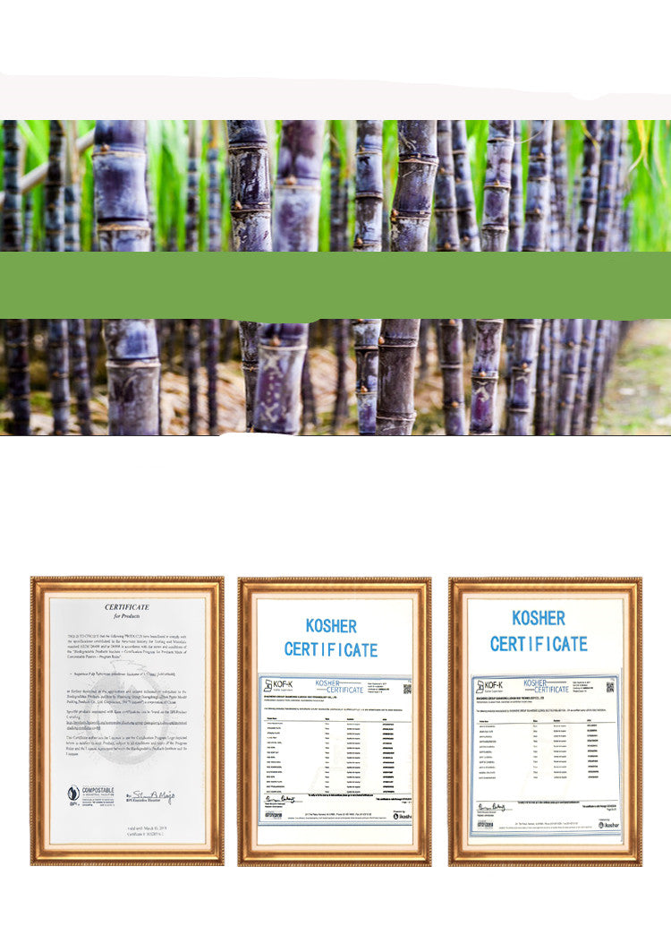 Eco-Friendly Thickened Paper Plates - Biodegradable BBQ & Party Plates